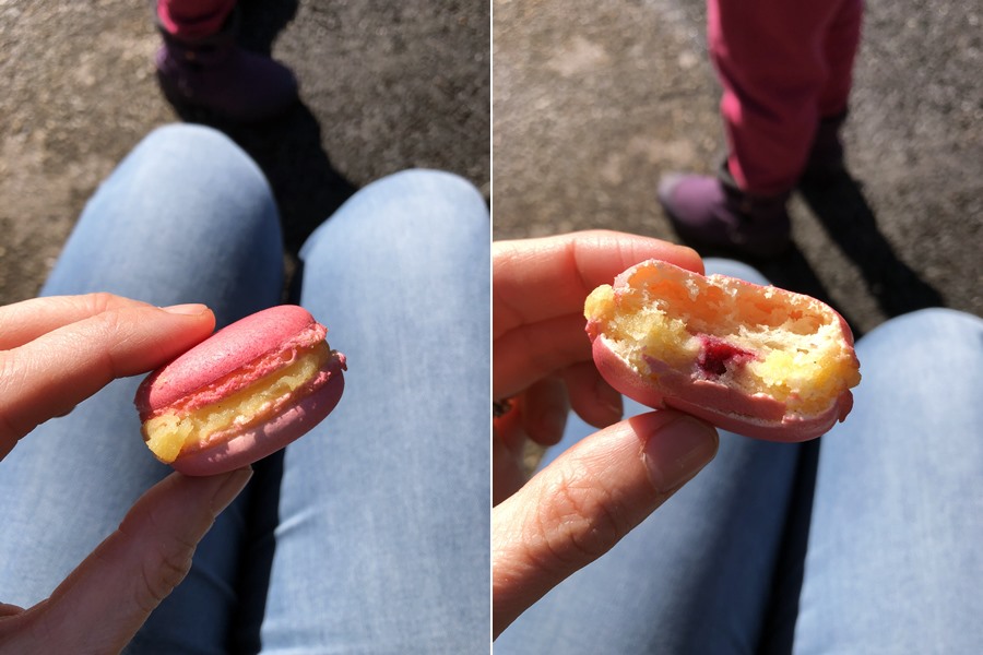 Raspberry and violet macaron - exploring Munster and finding storks